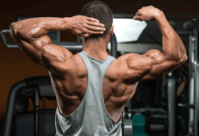 wellhealthorganic.com : how to gain muscle @ well health organic