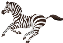 Cute:5lkjynh3ivm= Zebra Clipart