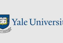 Transparent:7pes6t2cbba= Yale Logo