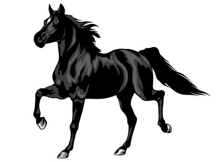 Cute:4gr3z54ngig= Horse Clipart