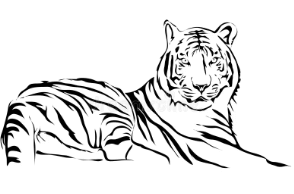 Outline:5jcfy_K8cic= Tiger Clipart