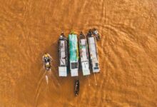 market activity analysis report