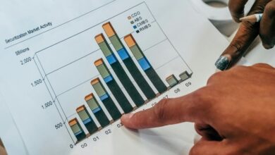 sector review for entities