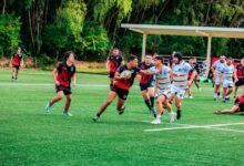 strategic performance analysis forecast